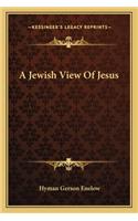 Jewish View of Jesus