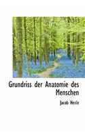 Grundriss Der Anatomie Des Menschen