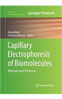 Capillary Electrophoresis of Biomolecules