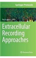 Extracellular Recording Approaches