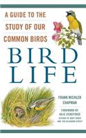 Bird Life