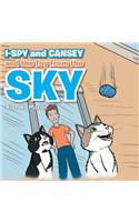 I-Spy and Cansey and the Toy from the Sky