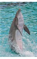 Tail Walking Dolphin Journal