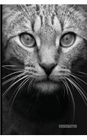 Journal Pages - Cat Eyes: 6" x 9", Lined Journal, Durable Cover,150 Pages For Writing (Journal Notebook)