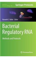 Bacterial Regulatory RNA