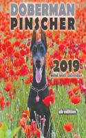 Doberman Pinscher 2019 Mini Wall Calendar (UK Edition)