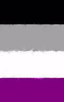 Asexual Pride Flag Sketch Journal