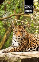 Panther Leopard Cheetah Cougar Week Planner Weekly Organizer Calendar 2020 / 2021 - Time to Rest