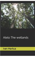 Atelo The wetlans