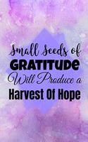 Small Seeds of Gratitude Will Produce a Harvest of Hope