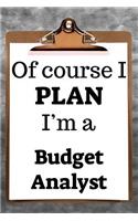 Of Course I Plan I'm a Budget Analyst