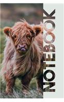 Notebook: Aberdeen Angus Practical Composition Book for Highland Cow Farmers