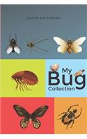 My Bug Collection: Blank Lined Journal with Calendar for Kids
