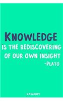 Knowledge Is the Rediscovering of Our Own Insight - Plato