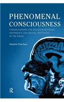 Phenomenal Consciousness