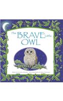 The Brave Little Owl