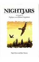 Nightjars