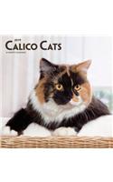 Calico Cats 2019 Square Wall Calendar
