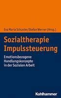 Sozialtherapie Impulssteuerung