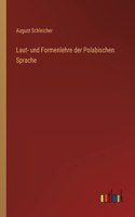 Laut- und Formenlehre der Polabischen Sprache