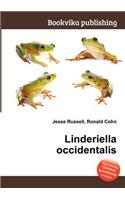 Linderiella Occidentalis: (English)