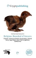 Belgian Bearded D'Anvers