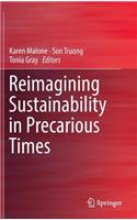 Reimagining Sustainability in Precarious Times