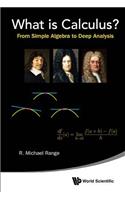 What Is Calculus?: From Simple Algebra to Deep Analysis