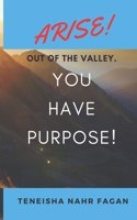Arise! Out of the Valley. You Have Purpose!