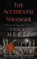 The Accidental Stranger: A Black Springs Saga Paranormal Mystery(2 The Black Springs Saga)