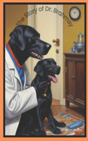 Story of Dr. Brahmsy