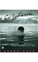 Problem of Pain