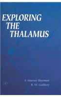 Exploring the Thalamus