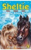 Sheltie And The Snow Pony