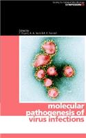Molecular Pathogenesis of Virus Infections