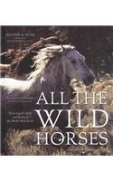 All the Wild Horses