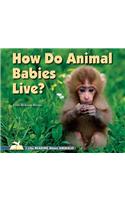 How Do Animal Babies Live?