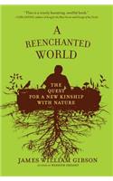 Reenchanted World