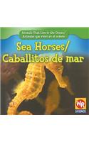 Sea Horses / Caballitos de Mar