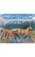 Where Wild Horses Run