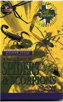 A Field Guide to Spiders and Scorpions of Texas