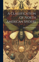 Classification Of North American Spiders