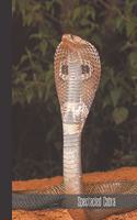 Spectacled Cobra: small lined Cobra Snake Notebook / Travel Journal to write in (6'' x 9'') 120 pages