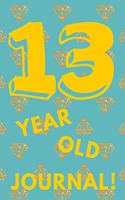 13 Year Old Journal!
