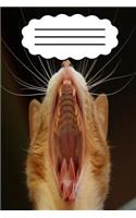 Cat Diary
