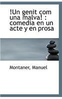 Un Genit Com Una Malva: Comedia En Un Acte y En Prosa(English)