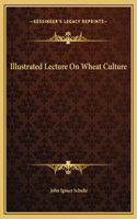 Illustrated Lecture On Wheat Culture