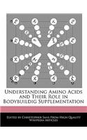 Understanding Amino Acids and Their Role in Bodybuildig Supplementation