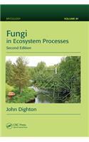 Fungi in Ecosystem Processes