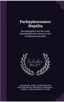 Pachypleurosaurs (Reptilia